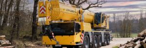 300 Ton Crane